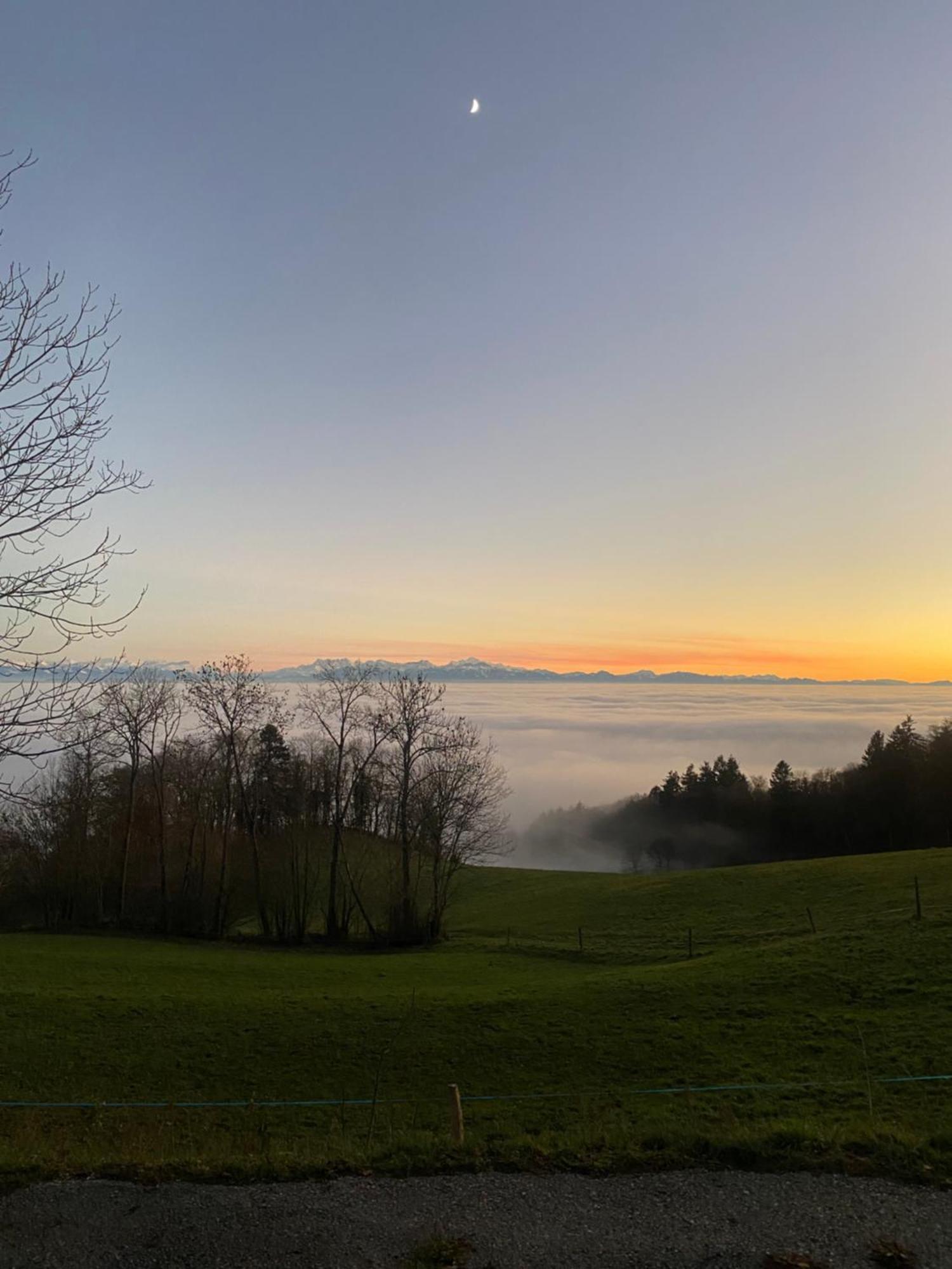 Tevenon Vue Panoramique Alpes-Lac Grandevent Zewnętrze zdjęcie